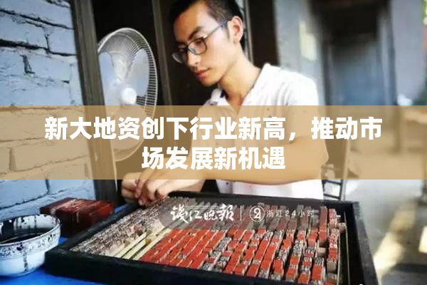新大地资创下行业新高，推动市场发展新机遇