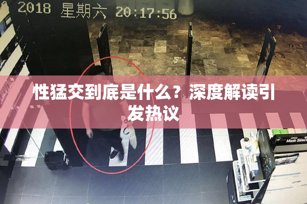 性猛交到底是什么？深度解读引发热议