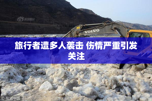 旅行者遭多人袭击 伤情严重引发关注