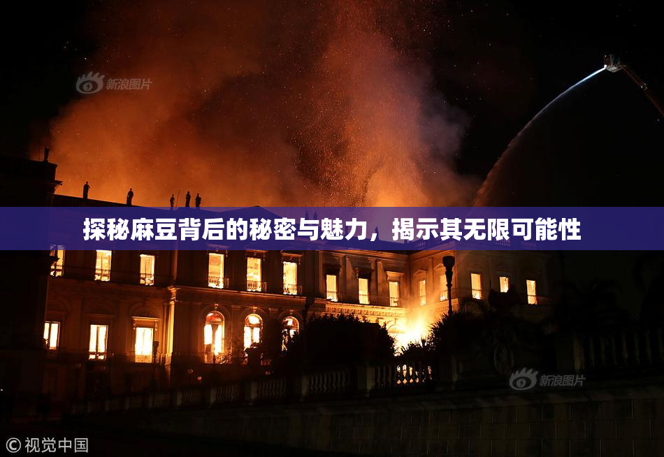 探秘麻豆背后的秘密与魅力，揭示其无限可能性