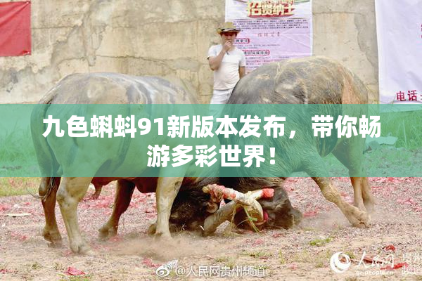 九色蝌蚪91新版本发布，带你畅游多彩世界！