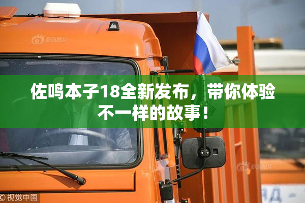 佐鸣本子18全新发布，带你体验不一样的故事！