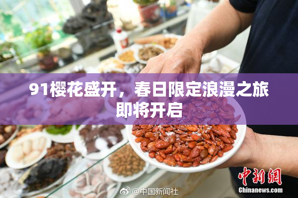 91樱花盛开，春日限定浪漫之旅即将开启