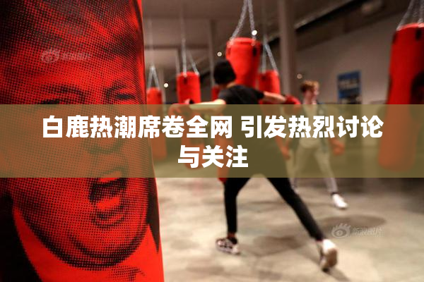 白鹿热潮席卷全网 引发热烈讨论与关注