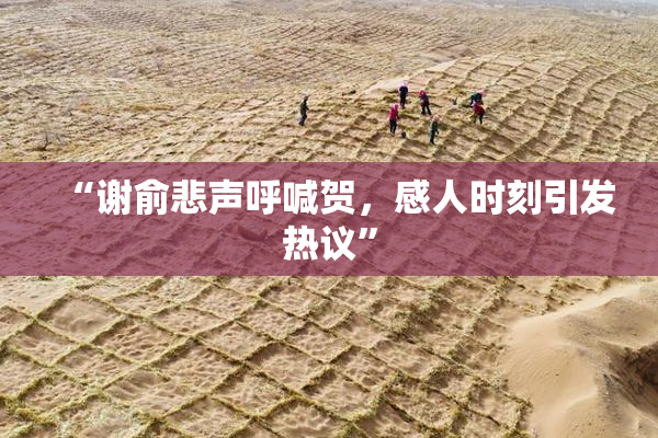 “谢俞悲声呼喊贺，感人时刻引发热议”