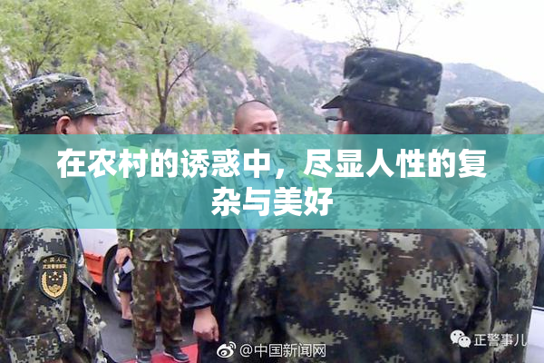 在农村的诱惑中，尽显人性的复杂与美好