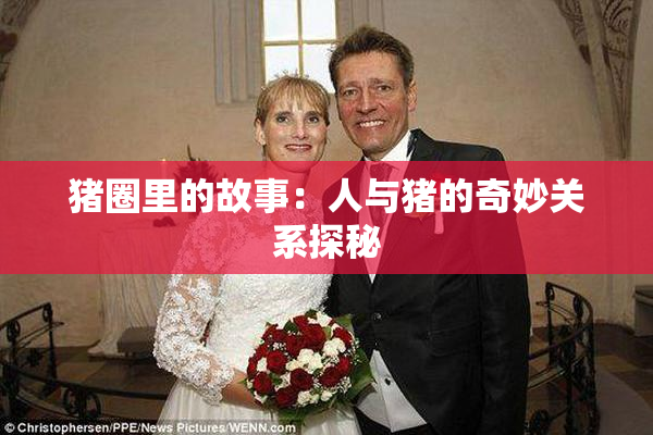 猪圈里的故事：人与猪的奇妙关系探秘