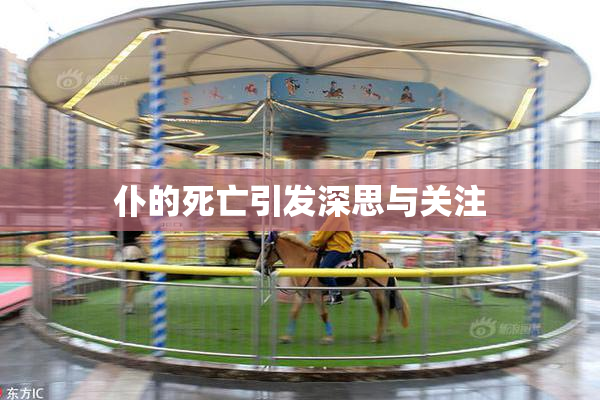 仆的死亡引发深思与关注