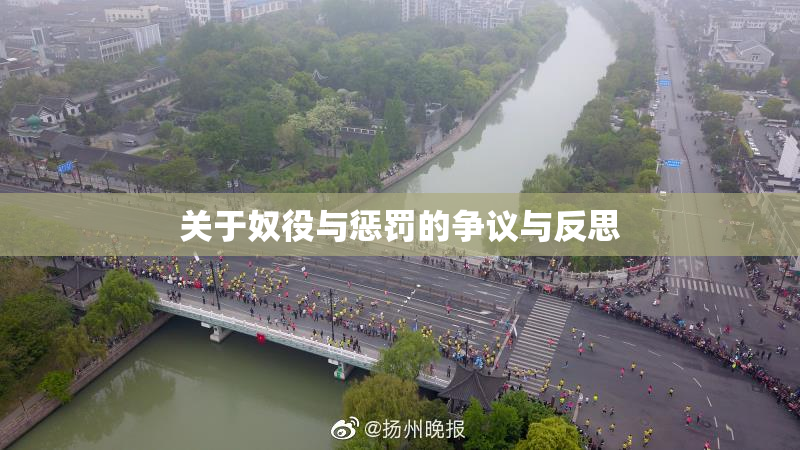 关于奴役与惩罚的争议与反思