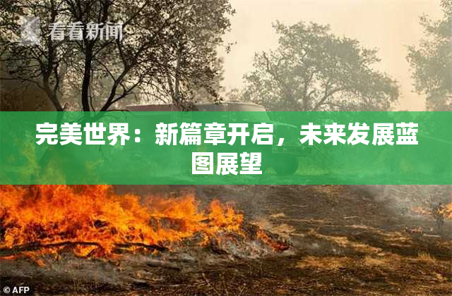 完美世界：新篇章开启，未来发展蓝图展望