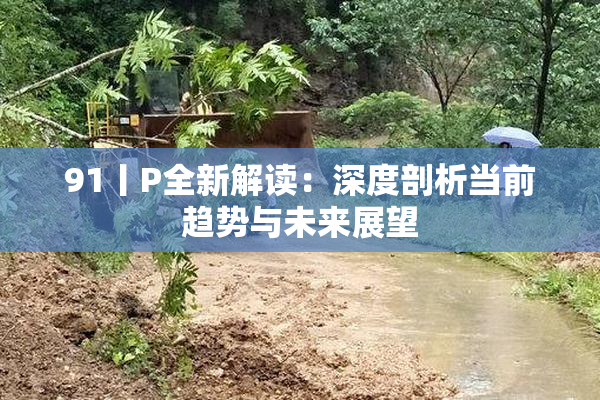 91丨P全新解读：深度剖析当前趋势与未来展望