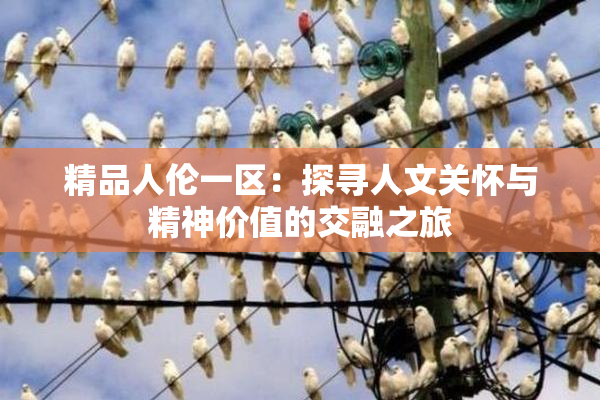 精品人伦一区：探寻人文关怀与精神价值的交融之旅