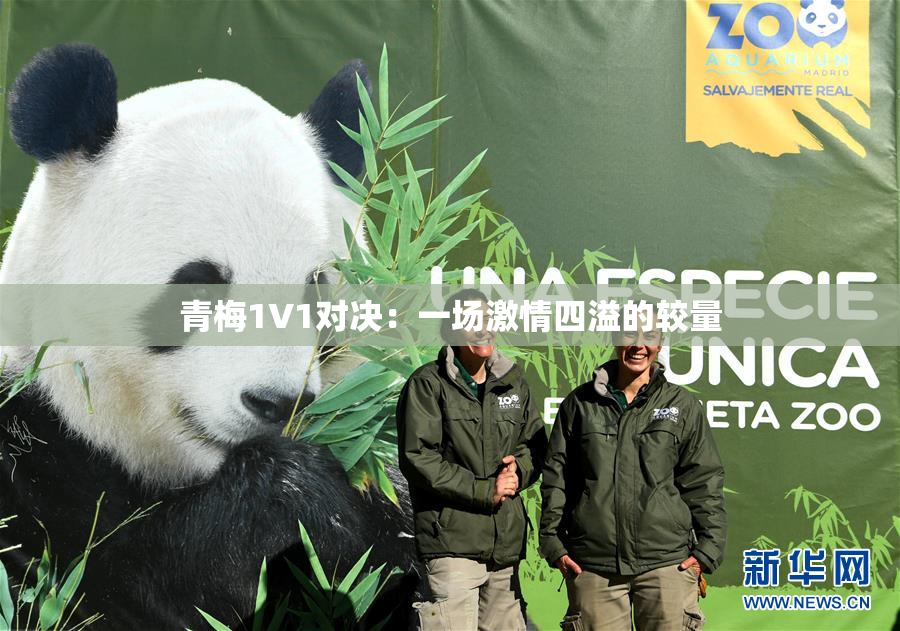 青梅1V1对决：一场激情四溢的较量