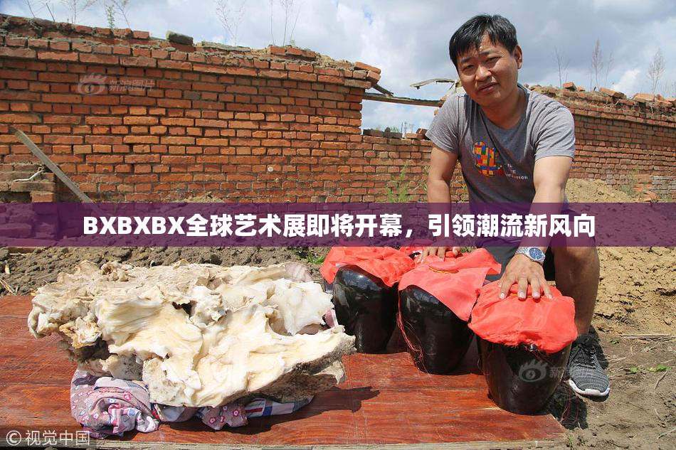 BXBXBX全球艺术展即将开幕，引领潮流新风向
