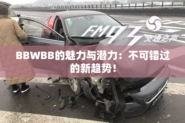 BBWBB的魅力与潜力：不可错过的新趋势！