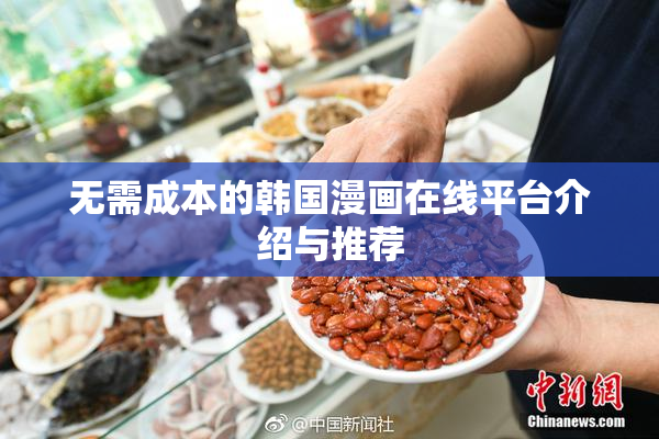 无需成本的韩国漫画在线平台介绍与推荐