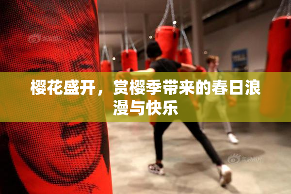 樱花盛开，赏樱季带来的春日浪漫与快乐