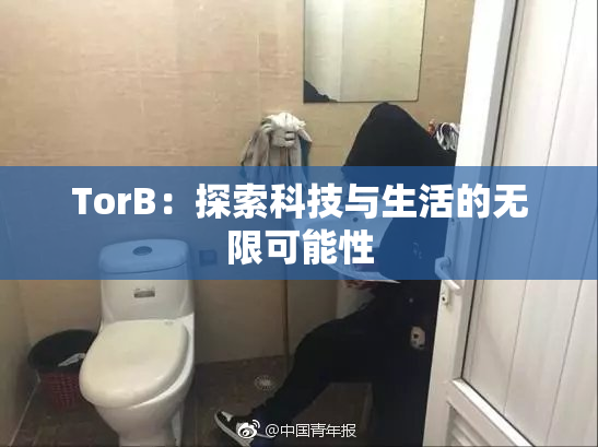 TorB：探索科技与生活的无限可能性