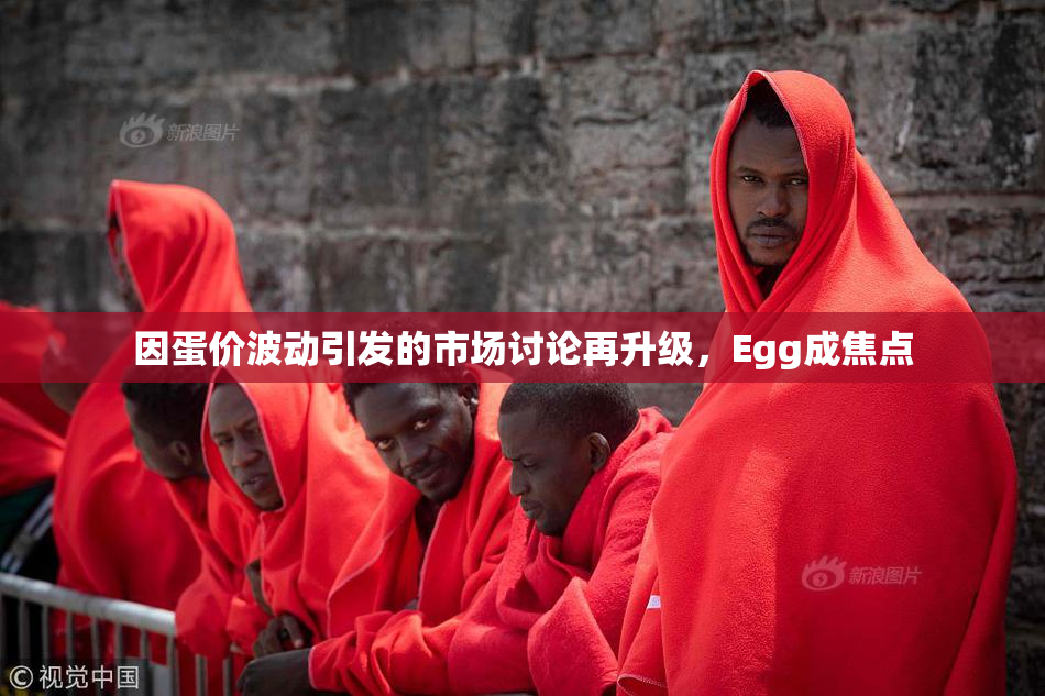 因蛋价波动引发的市场讨论再升级，Egg成焦点