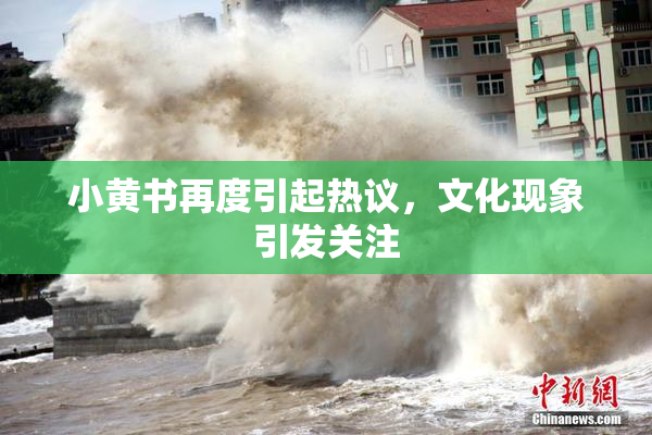 小黄书再度引起热议，文化现象引发关注