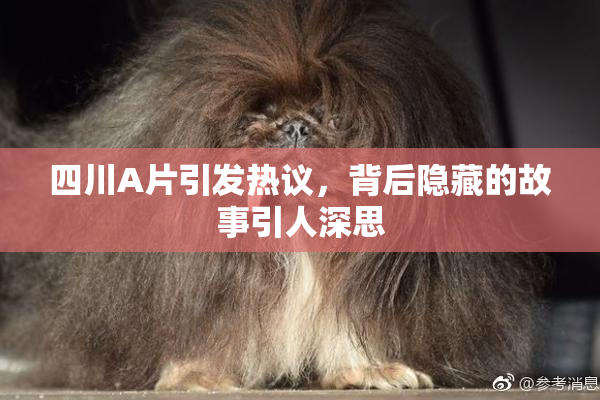 四川A片引发热议，背后隐藏的故事引人深思