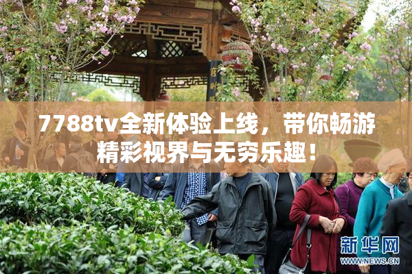 7788tv全新体验上线，带你畅游精彩视界与无穷乐趣！