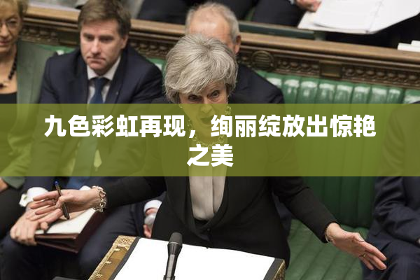 九色彩虹再现，绚丽绽放出惊艳之美