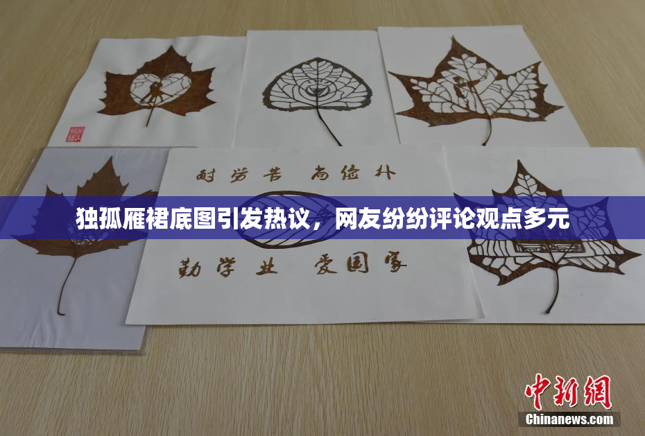 独孤雁裙底图引发热议，网友纷纷评论观点多元