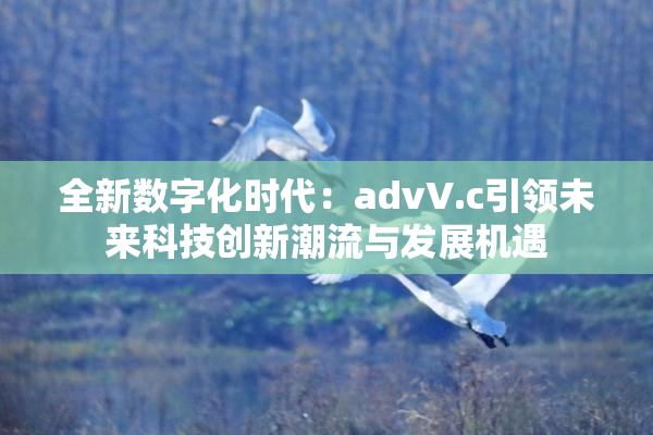 全新数字化时代：advV.c引领未来科技创新潮流与发展机遇