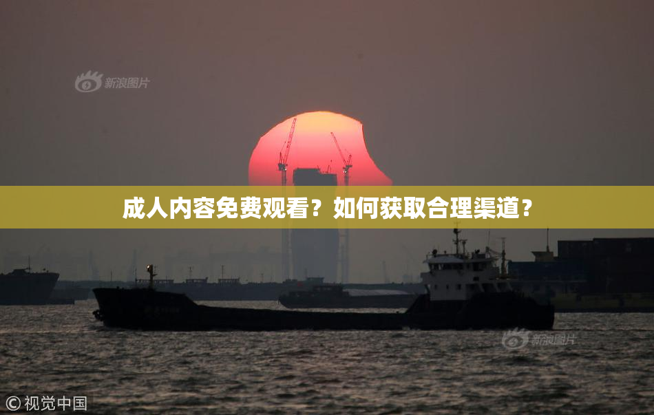 成人内容免费观看？如何获取合理渠道？
