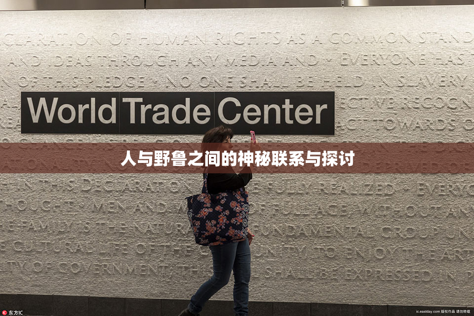 人与野鲁之间的神秘联系与探讨