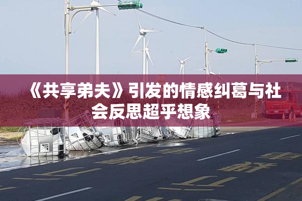 《共享弟夫》引发的情感纠葛与社会反思超乎想象