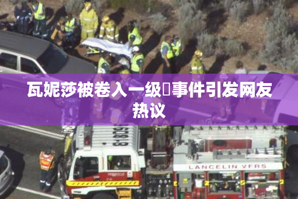 瓦妮莎被卷入一级婬事件引发网友热议