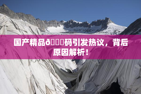 国产精品🈚码引发热议，背后原因解析！