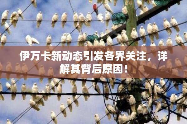 伊万卡新动态引发各界关注，详解其背后原因！