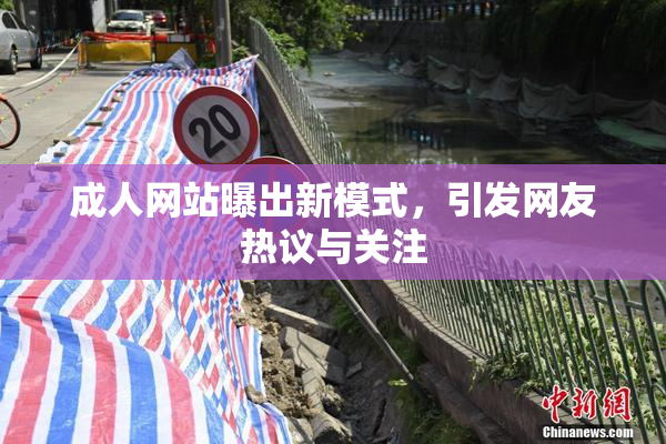 成人网站曝出新模式，引发网友热议与关注