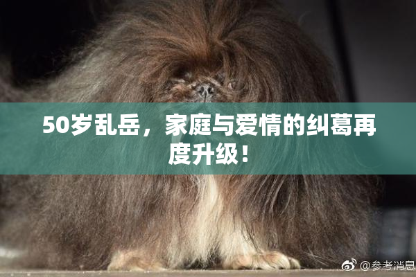 50岁乱岳，家庭与爱情的纠葛再度升级！