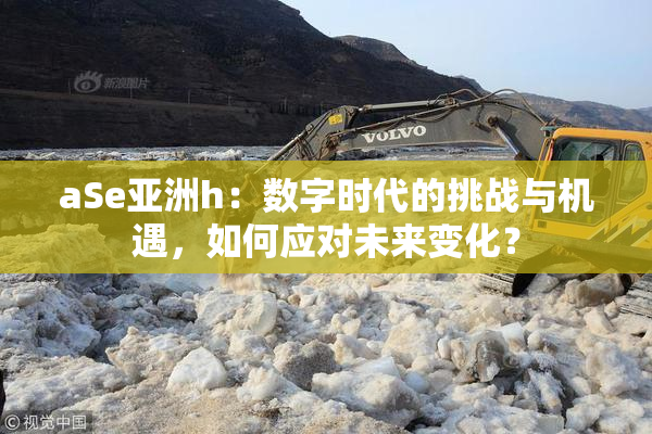 aSe亚洲h：数字时代的挑战与机遇，如何应对未来变化？
