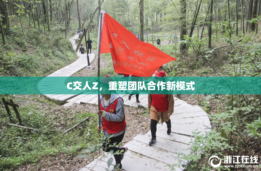 C交人Z，重塑团队合作新模式