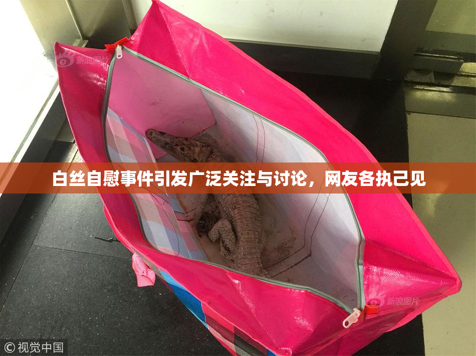 白丝自慰事件引发广泛关注与讨论，网友各执己见