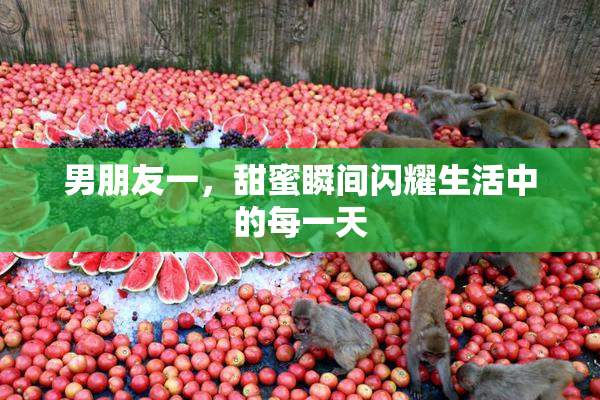 男朋友一，甜蜜瞬间闪耀生活中的每一天