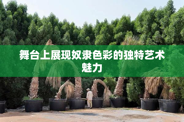 舞台上展现奴隶色彩的独特艺术魅力