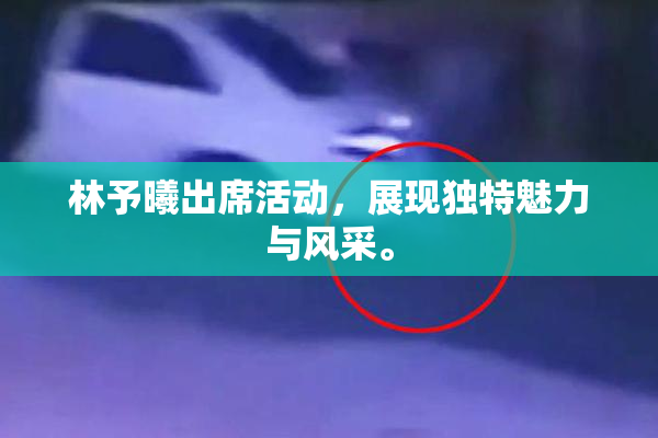 林予曦出席活动，展现独特魅力与风采。