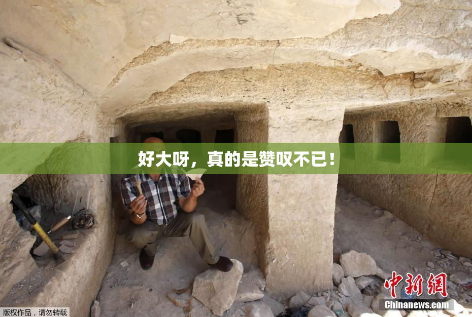 好大呀，真的是赞叹不已！