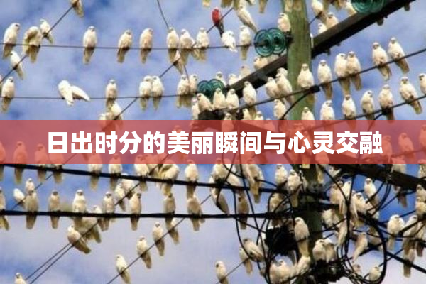 日出时分的美丽瞬间与心灵交融