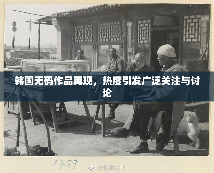 韩国无码作品再现，热度引发广泛关注与讨论