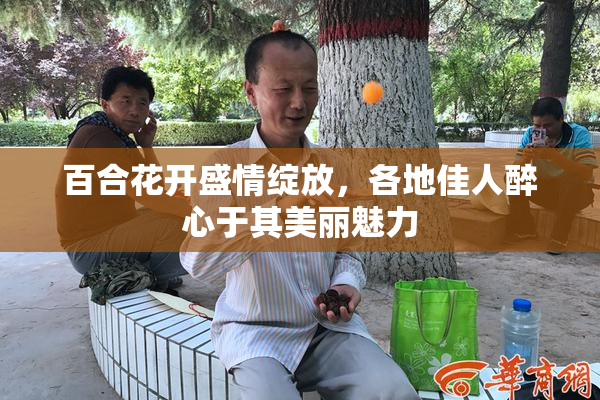 百合花开盛情绽放，各地佳人醉心于其美丽魅力