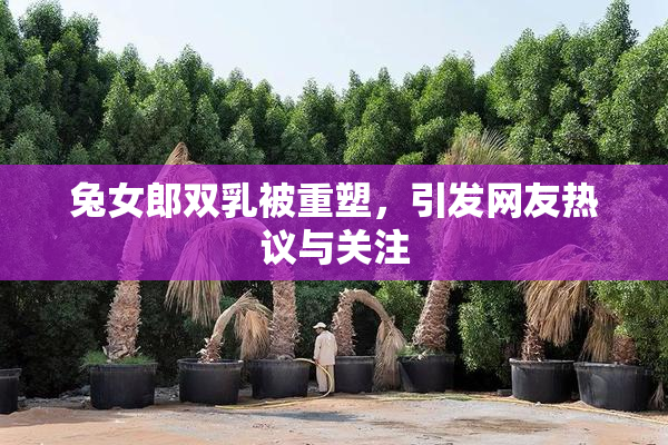 兔女郎双乳被重塑，引发网友热议与关注