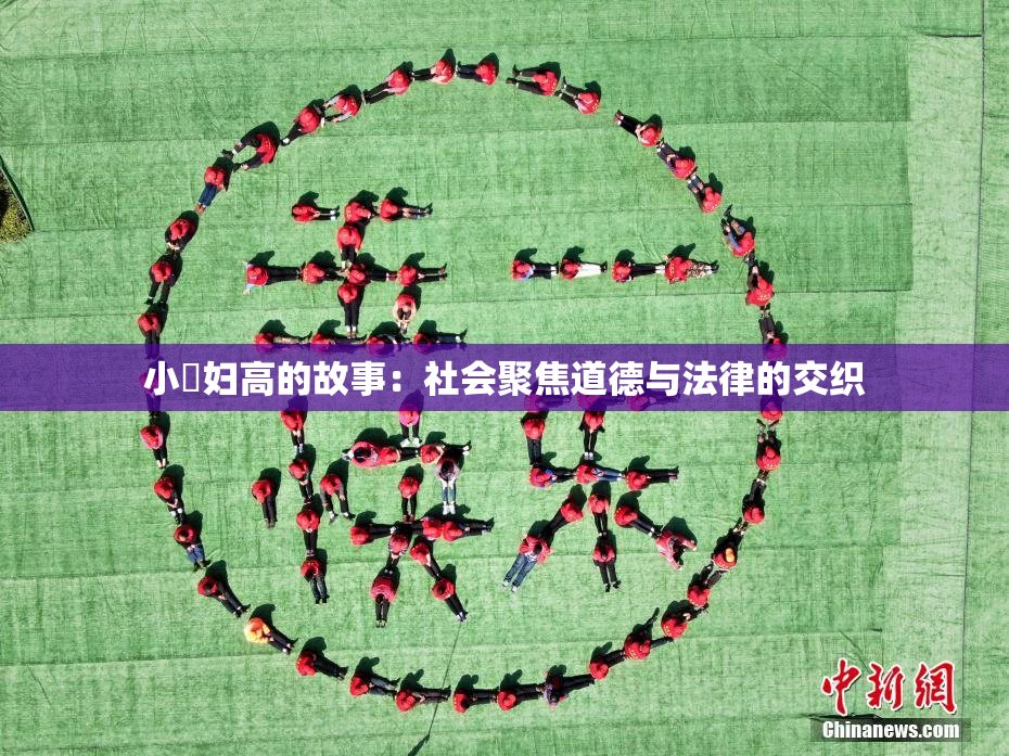 小婬妇高的故事：社会聚焦道德与法律的交织