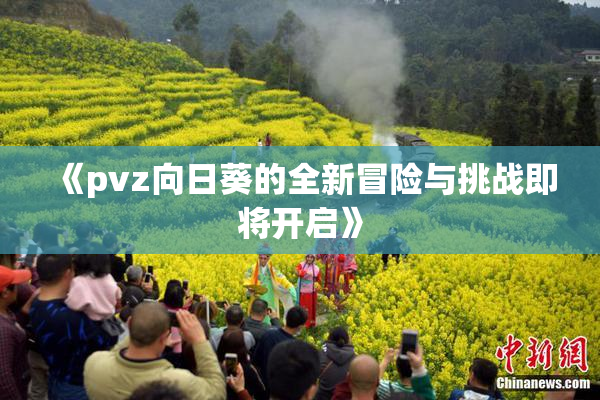 《pvz向日葵的全新冒险与挑战即将开启》